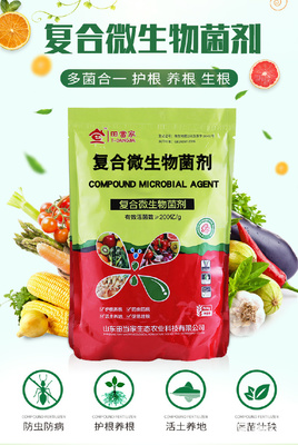 土傳病克星 復合微生物菌劑及其抗重茬、抗病害的創新研發